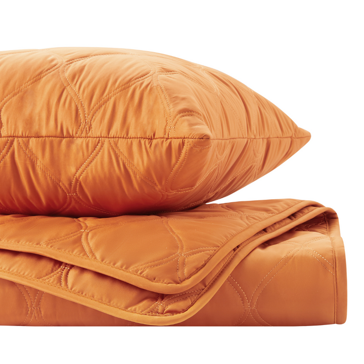 Leakproof Pet Hair Repellent Couch Protector