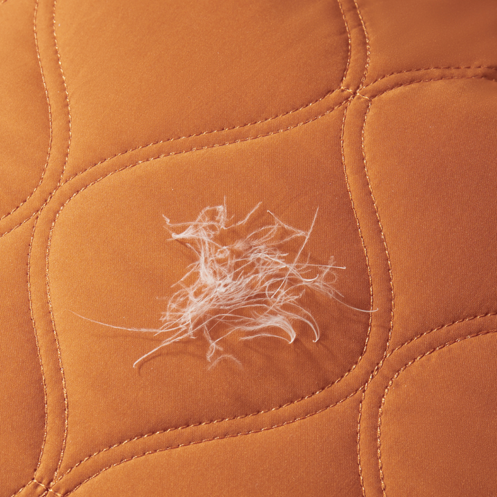 Leakproof Pet Hair Repellent Couch Protector