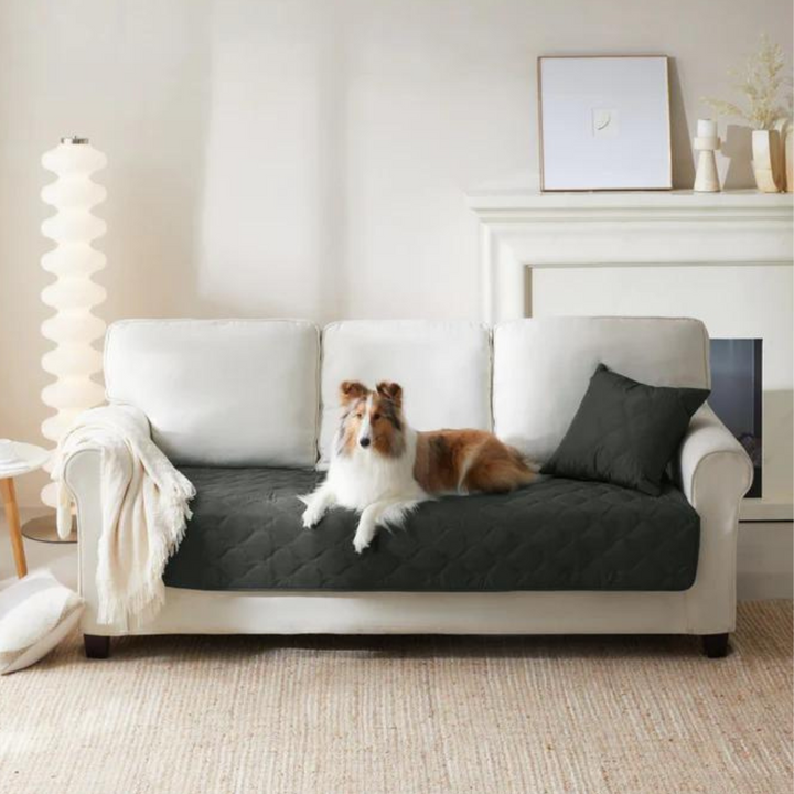 Leakproof Pet Hair Repellent Couch Protector