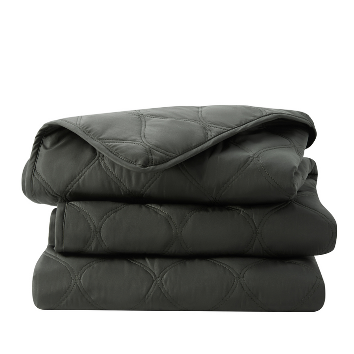 Leakproof Pet Hair Repellent Couch Protector
