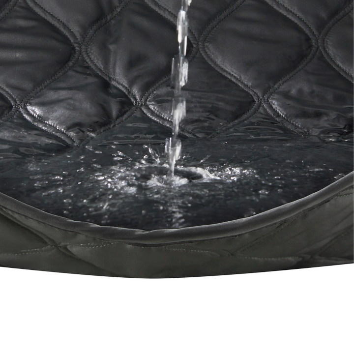 Leakproof Pet Hair Repellent Couch Protector