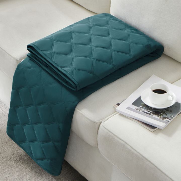 Leakproof Pet Hair Repellent Couch Protector