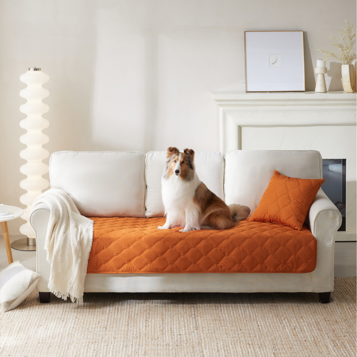 Leakproof Pet Hair Repellent Couch Protector