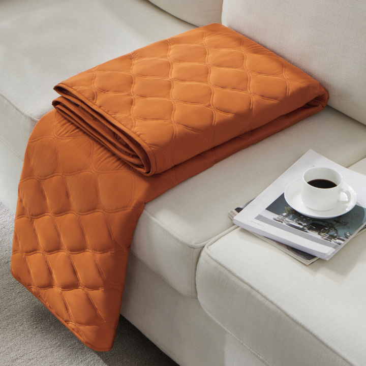 Leakproof Pet Hair Repellent Couch Protector