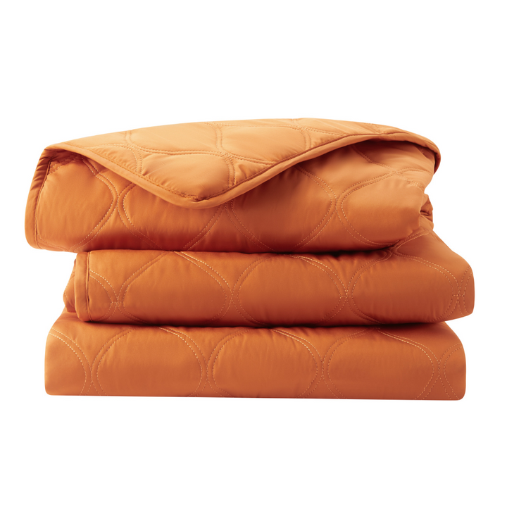 Leakproof Pet Hair Repellent Couch Protector