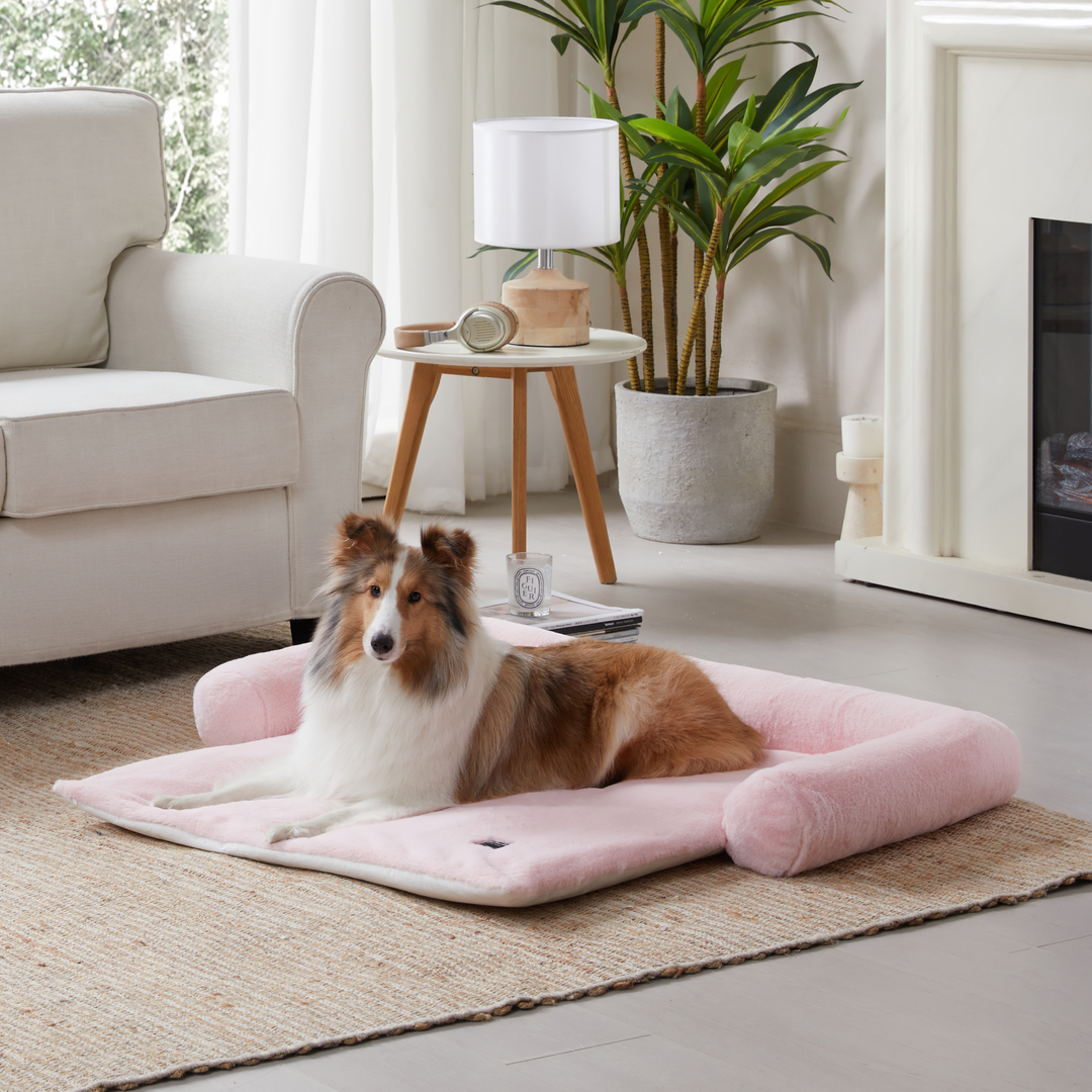 FlexiNest Dog Bed - From Couch to Floor