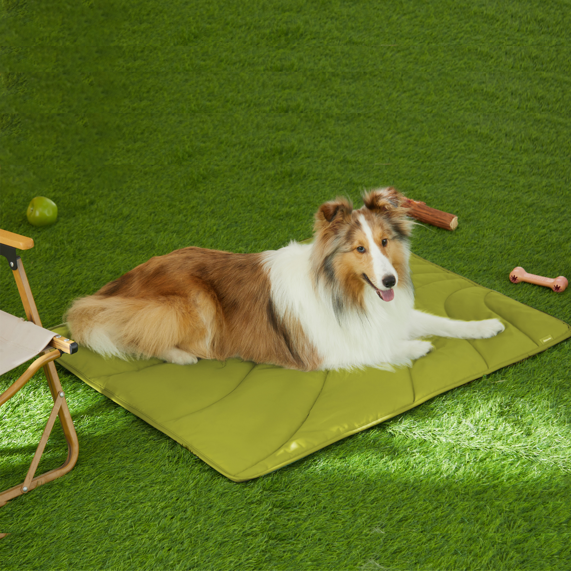 Outdoor sales dog mat