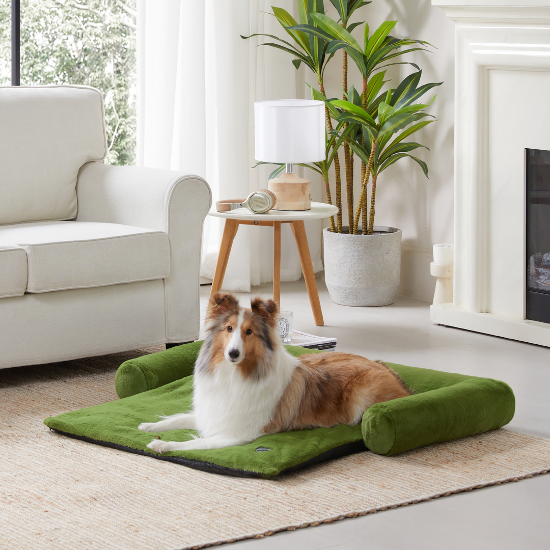 FlexiNest Dog Bed - From Couch to Floor