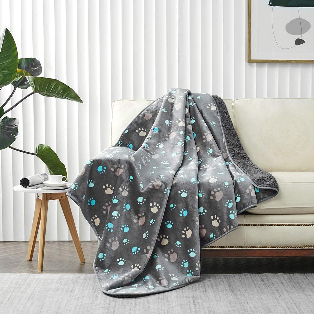 Print pet outlet blanket