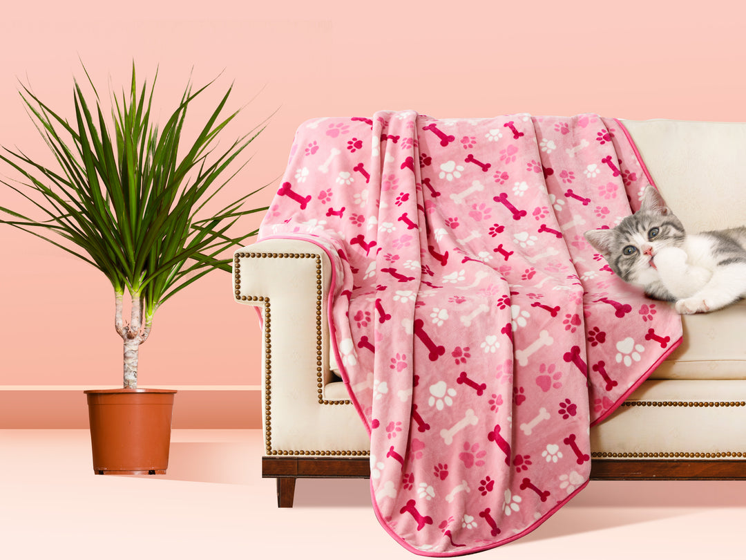 Why do your puppies need pink blankets?