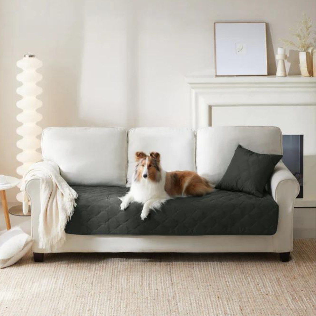 Pet hair couch on sale cover