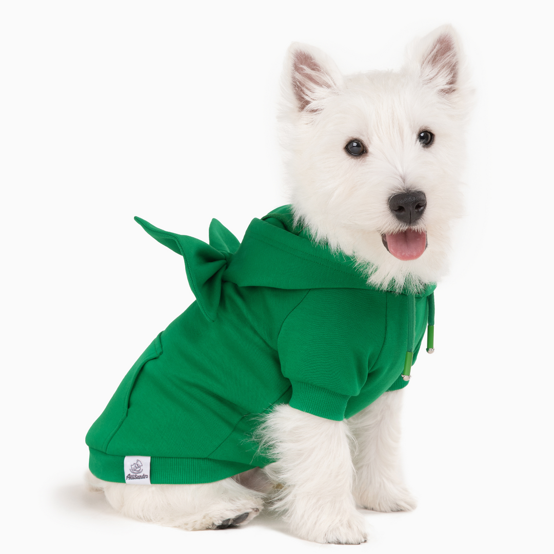 allisandro Essential Green Cotton Dog Hoodie Cozy Fashion
