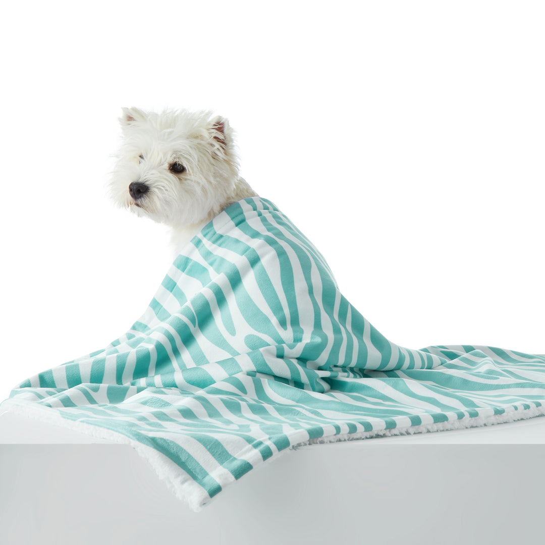 Fuzzy Sherpa Pet Blanket