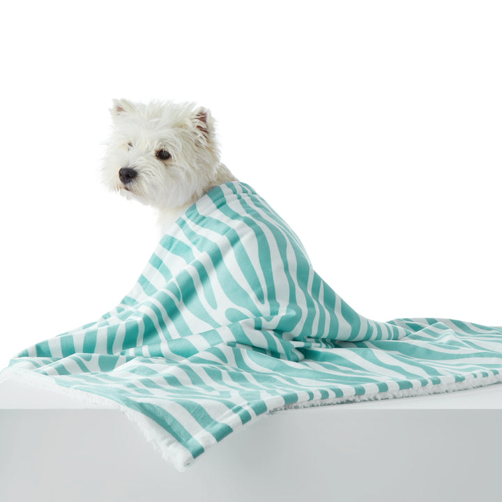 Eco-Stylish Waterproof Pet Blanket