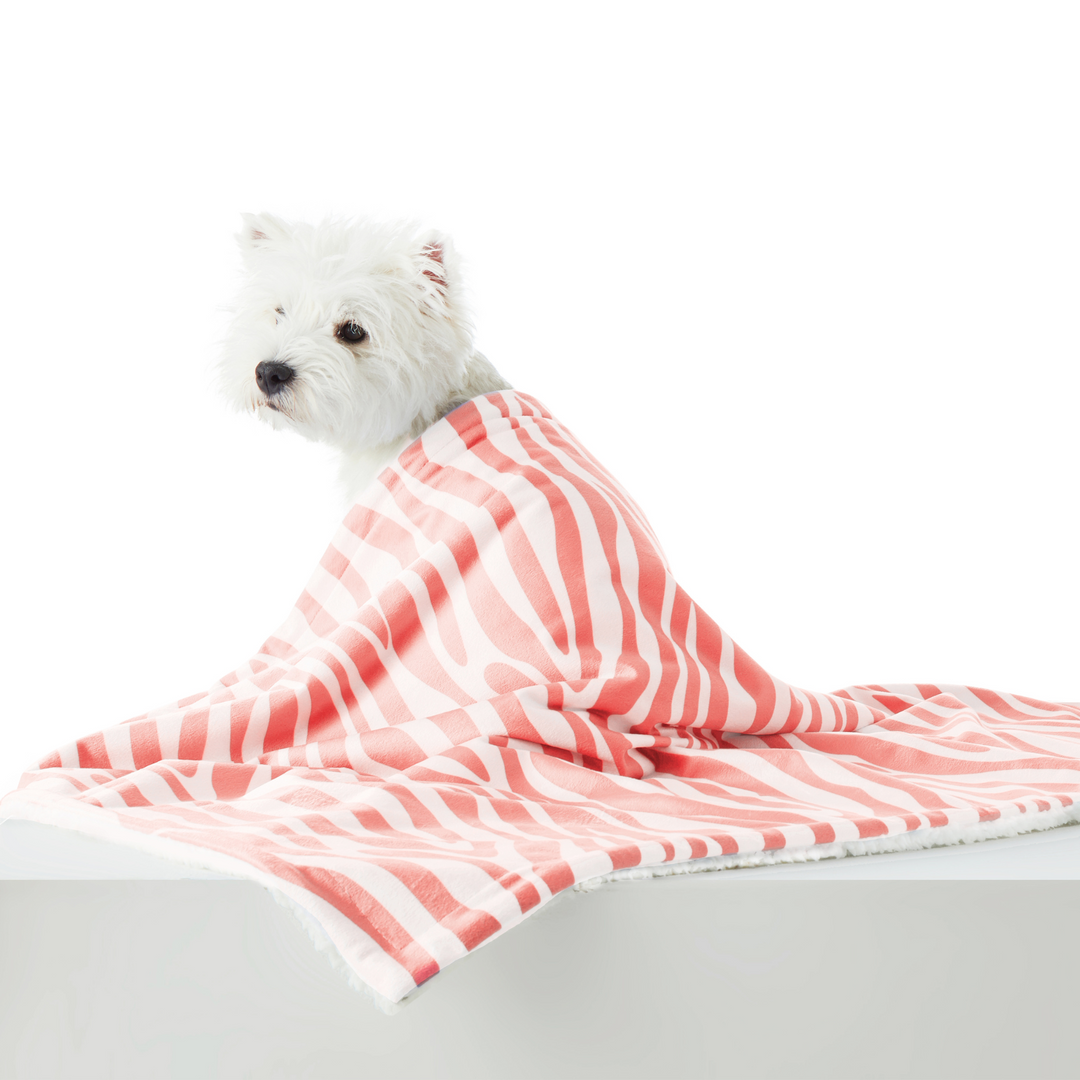 Eco-Stylish Waterproof Pet Blanket