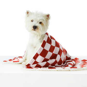 Sherpa 2024 pet blanket