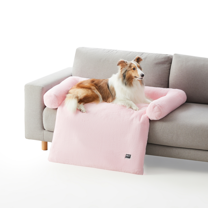 Dog Couch Bed